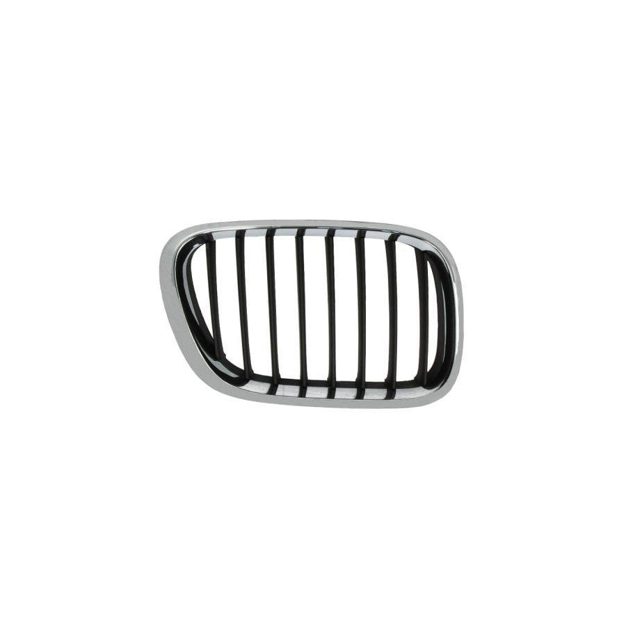Blic 6502-07-0095994P Radiator Grille For BMW X5 (E53)
