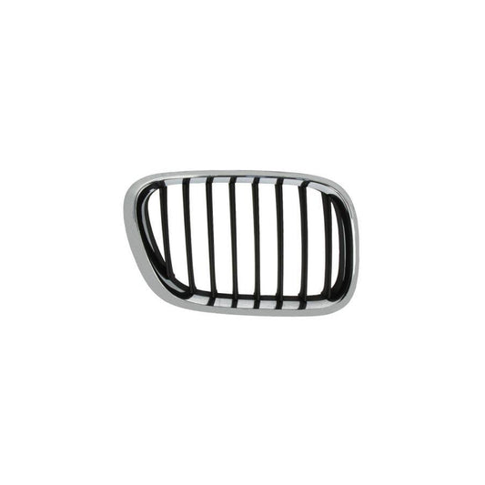 Blic 6502-07-0095994P Radiator Grille For BMW X5 (E53)