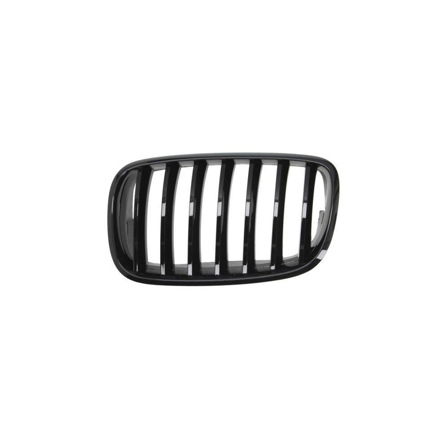 Blic 6502-07-0096993Pp Radiator Grille For BMW X5 (E70)
