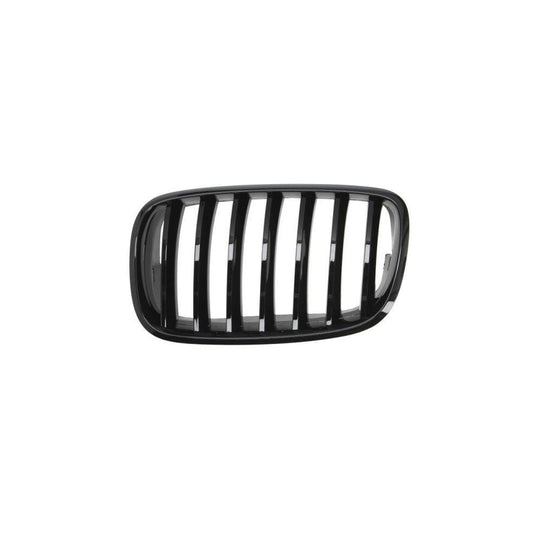 Blic 6502-07-0096993Pp Radiator Grille For BMW X5 (E70)