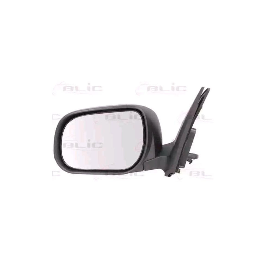 Blic 5402-19-2002529P Wing Mirror For Toyota Rav4 III Off-Road (Xa30)