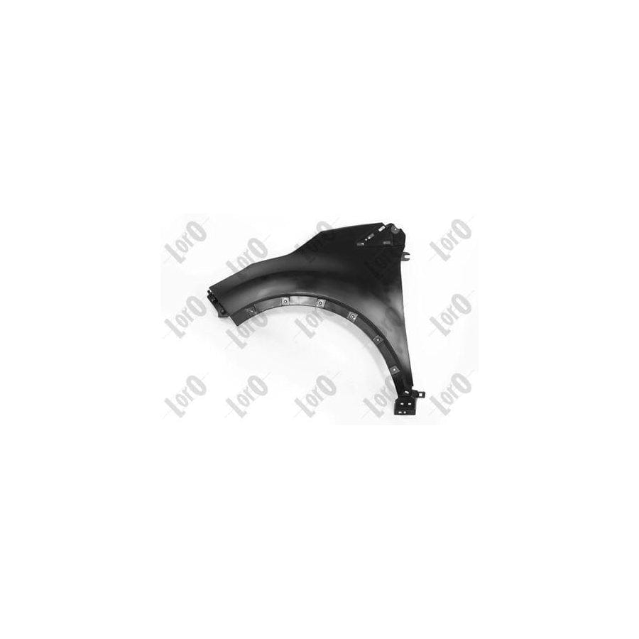Abakus 04255201 Wing Fender For Renault Captur (J5_, H5_) | ML Performance UK