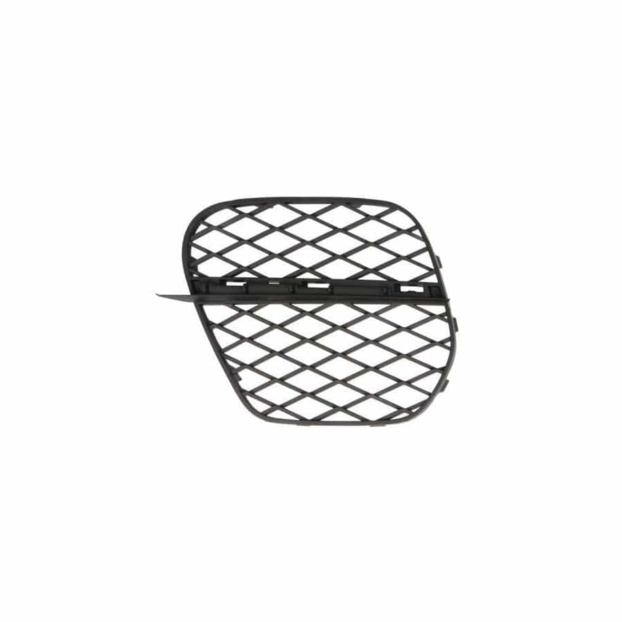 Blic 6502-07-0096925P Bumper Grill For BMW X5 (E70)