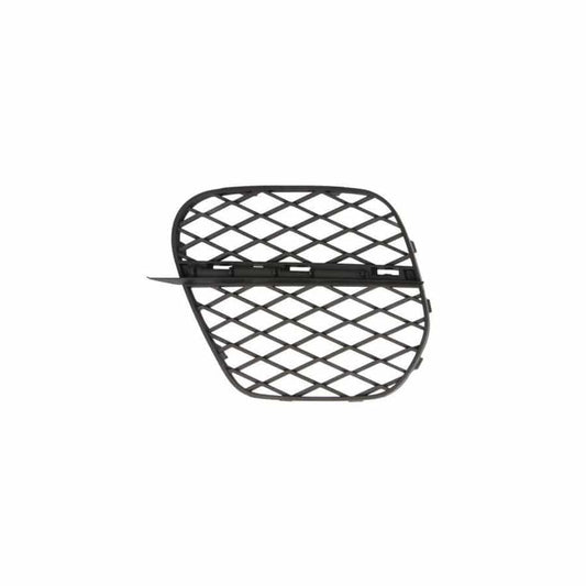 Blic 6502-07-0096925P Bumper Grill For BMW X5 (E70)