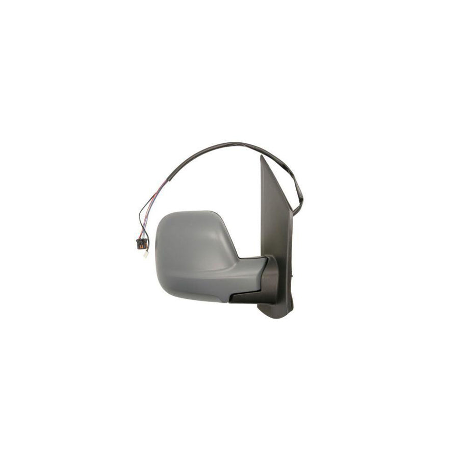 Blic 5402-04-2103396P Wing Mirror