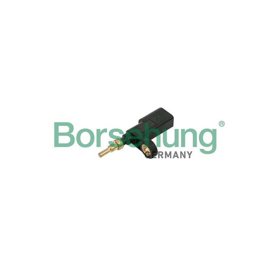 Borsehung B18252 Sensor, Coolant Temperature