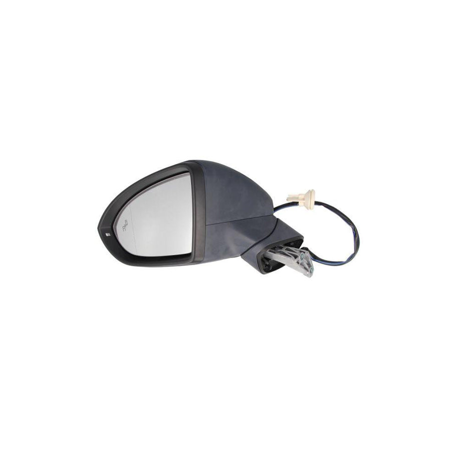 Blic 5402-01-2002618P Wing Mirror
