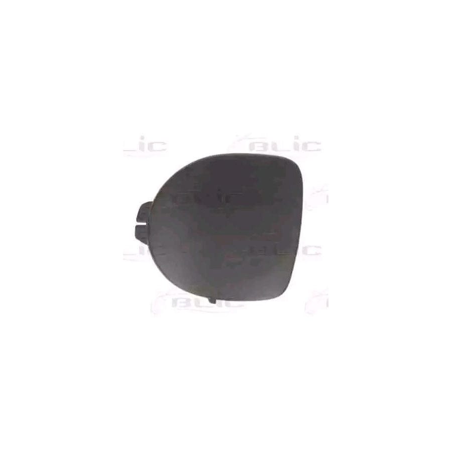 Blic 5510-00-6032928P Bumper Grill For Renault Clio