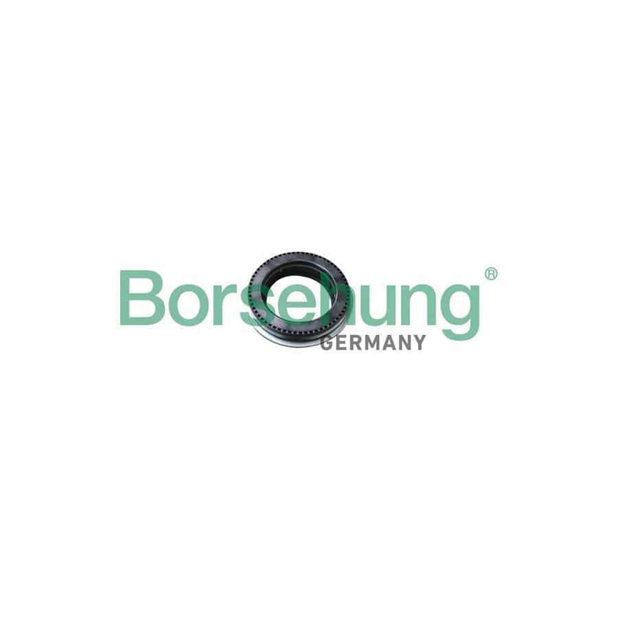 Borsehung B18294 Anti-Friction Bearing, Suspension Strut Support Mounting