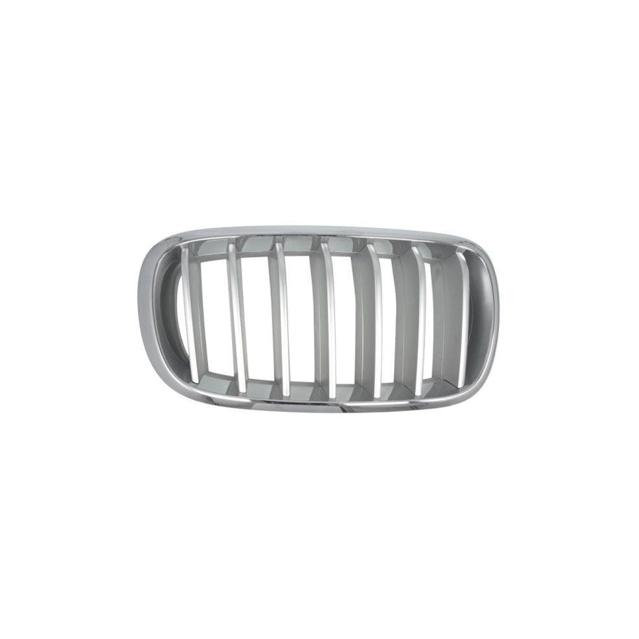 Blic 6502-07-00969966P Radiator Grille