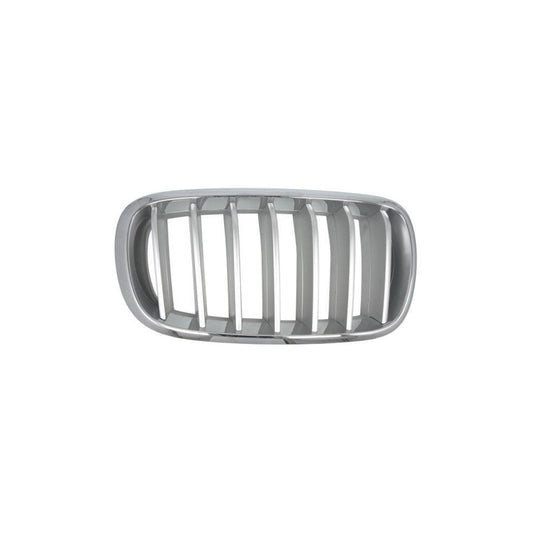 Blic 6502-07-00969966P Radiator Grille