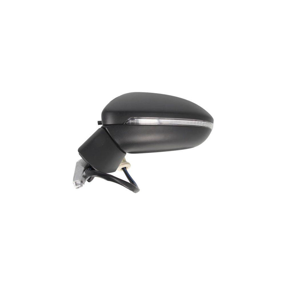 Blic 5402-01-2002610P Wing Mirror