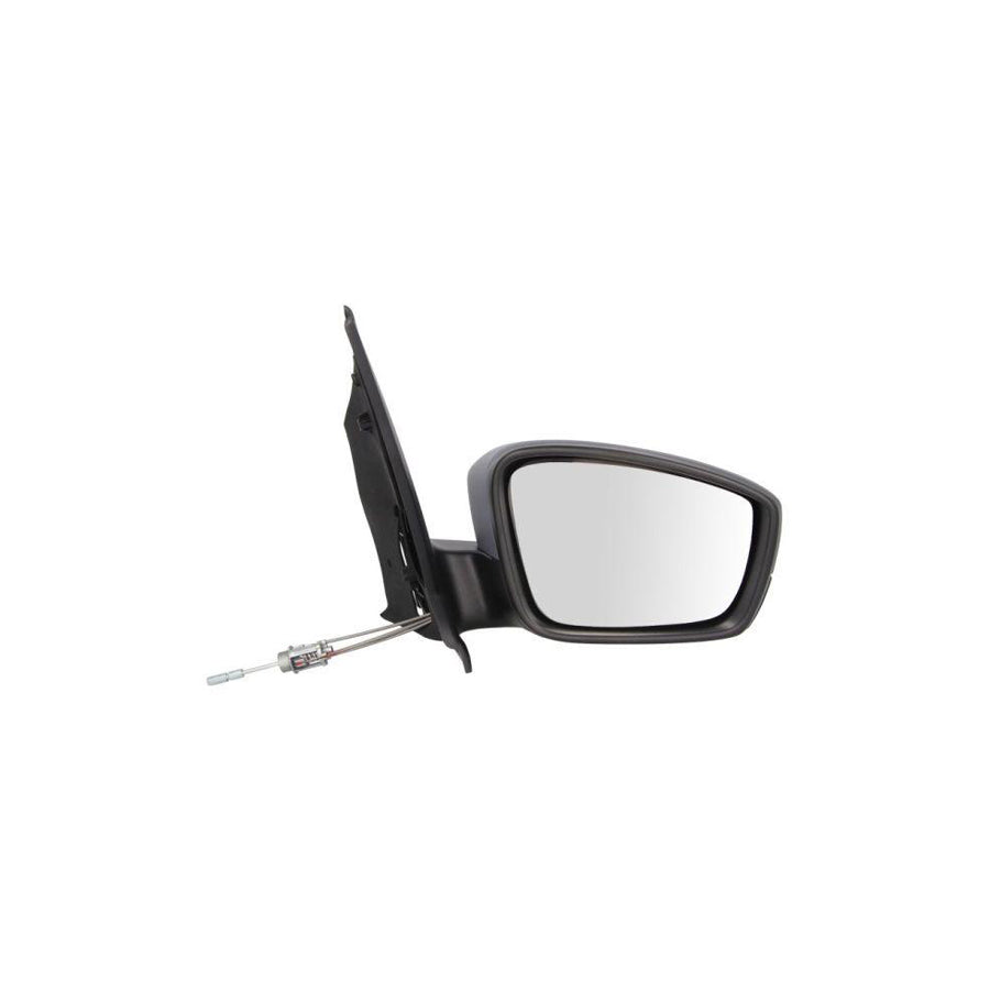 Blic 5402-01-2002609P Wing Mirror