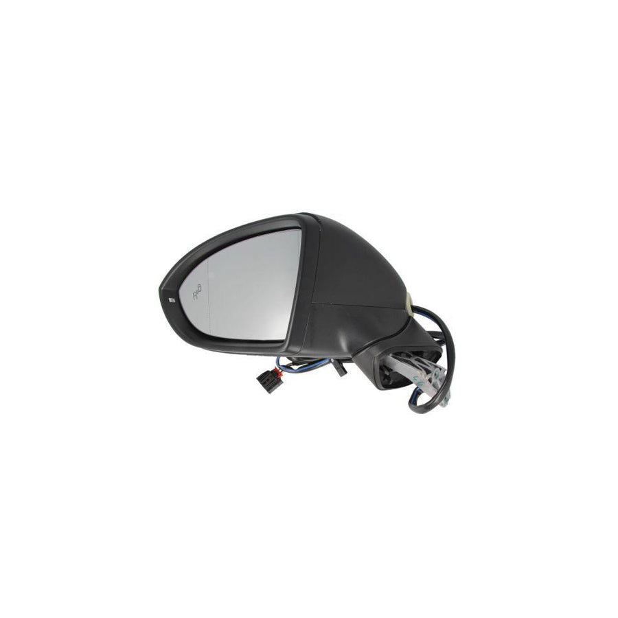 Blic 5402-01-2002607P Wing Mirror For VW Golf Sportsvan (Am1, An1)