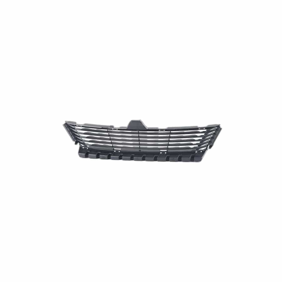 Genuine BMW 51117304057 F06 Grill, Air Intake, Center (Inc. 650i, ALPINA B6 & 650iX) | ML Performance UK Car Parts