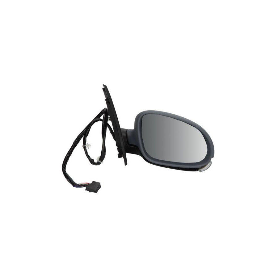 Blic 5402-01-2002628P Wing Mirror For VW Golf