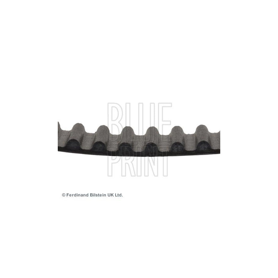 Blue Print ADH27512 Timing Belt