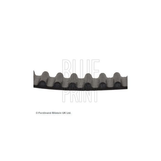 Blue Print ADH27512 Timing Belt