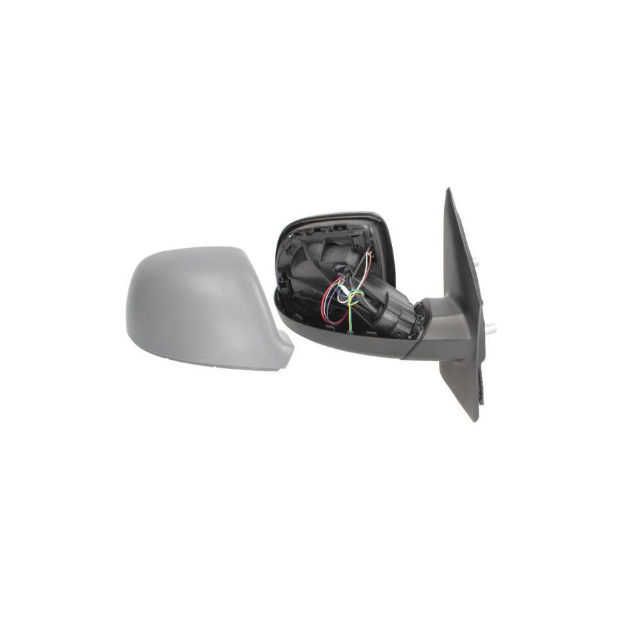 Blic 5402-01-2002666P Wing Mirror