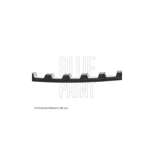 Blue Print ADH27501 Timing Belt