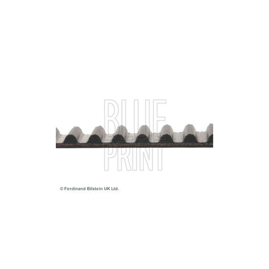 Blue Print ADH27531 Timing Belt