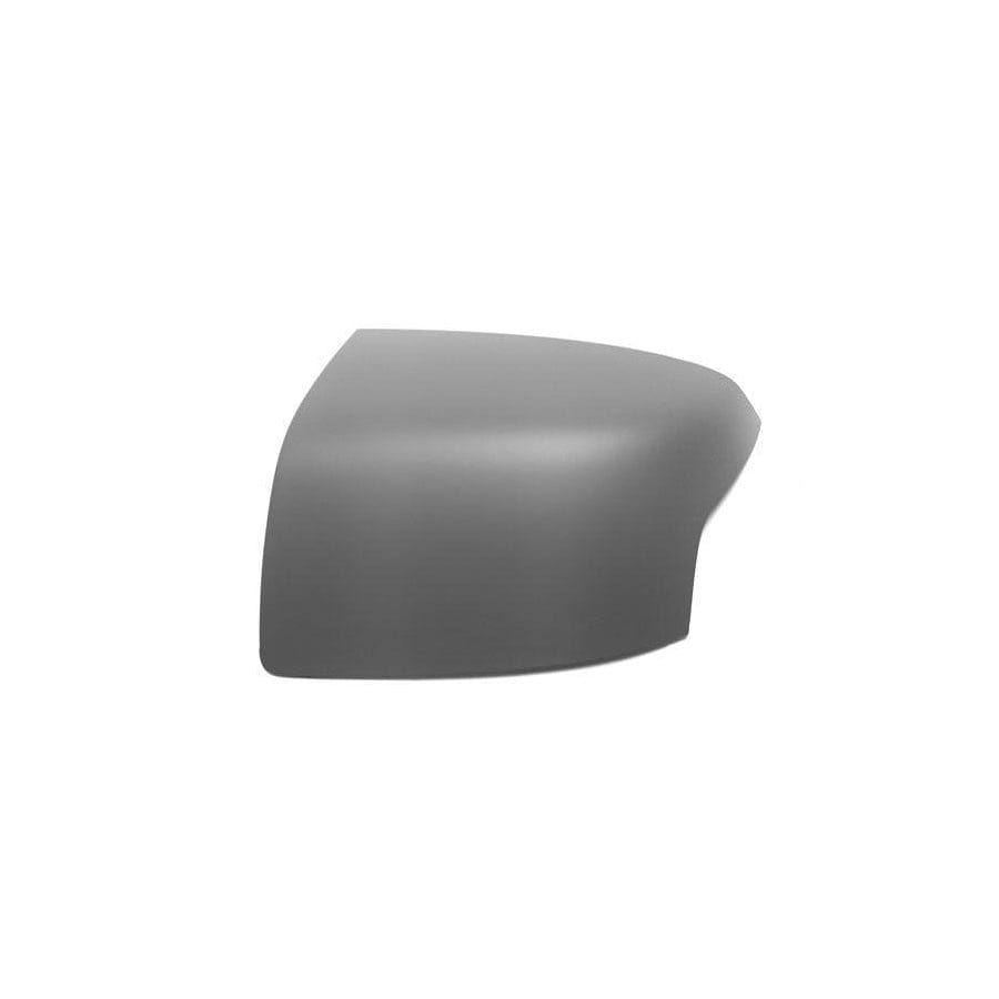 Abakus 1213C07 Cover, Outside Mirror | ML Performance UK