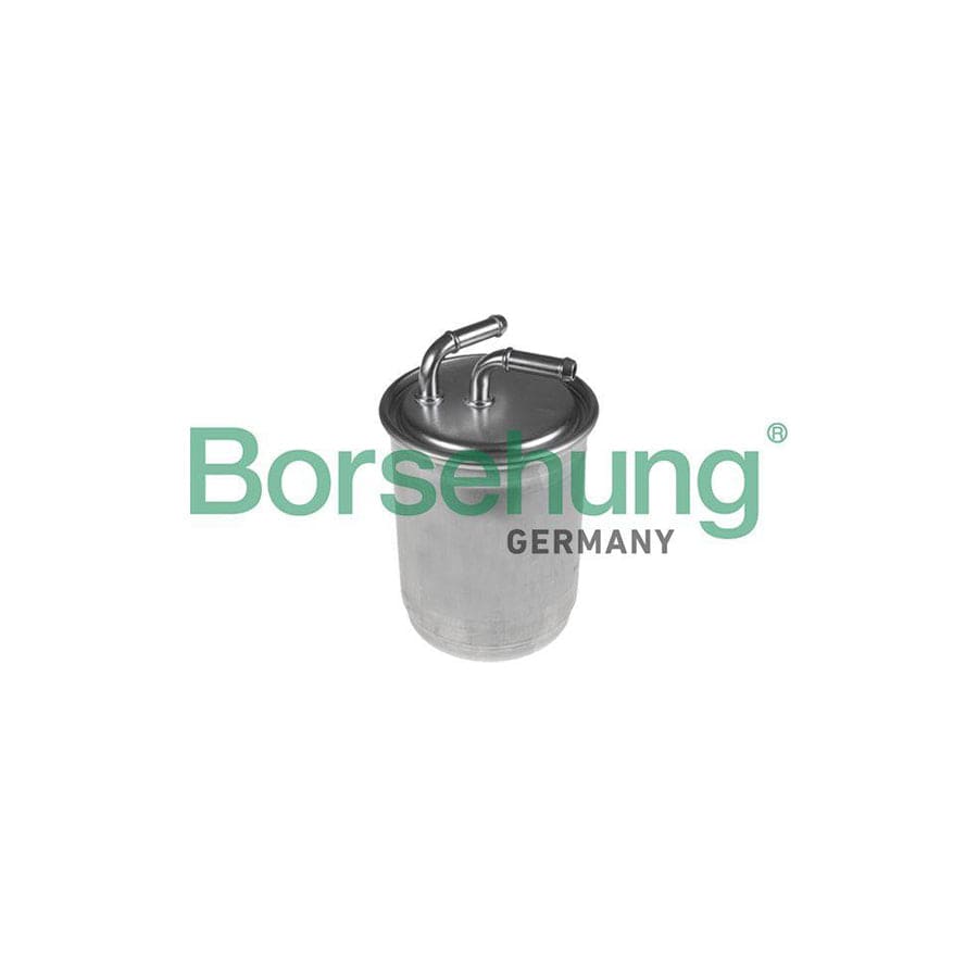 Borsehung B10475 Fuel Filter