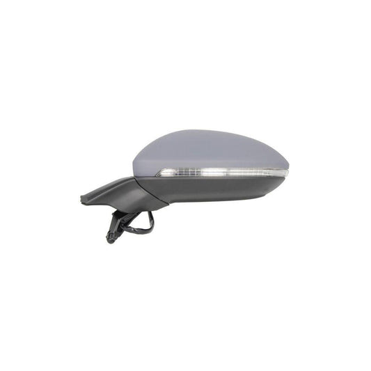 Blic 5402-01-2002647P Wing Mirror For VW Golf