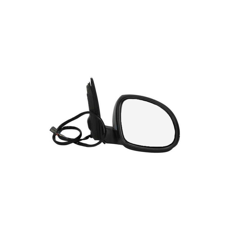 Blic 5402-04-9939131 Wing Mirror