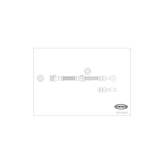 Corteco 19036845 Brake Hose For Hyundai I10 I (Pa) | ML Performance UK