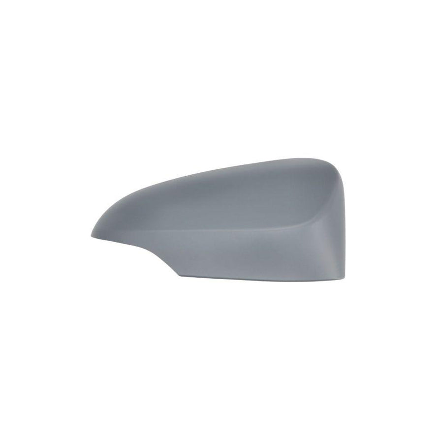 Blic 6103-01-1322210P Housing, Outside Mirror