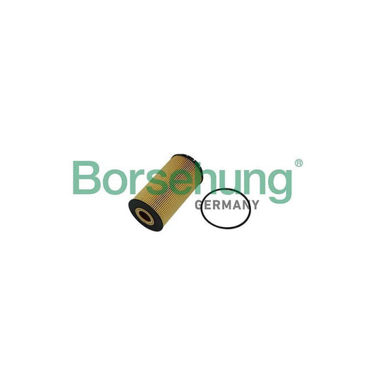 Borsehung B10518 Oil Filter