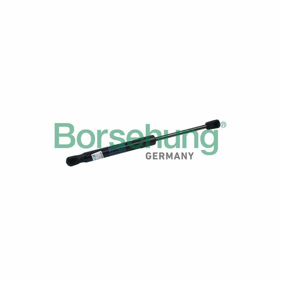Borsehung B18437 Tailgate Strut