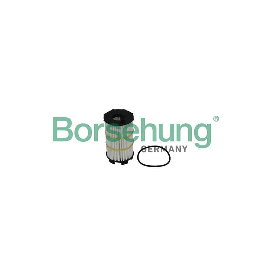 Borsehung B10517 Oil Filter