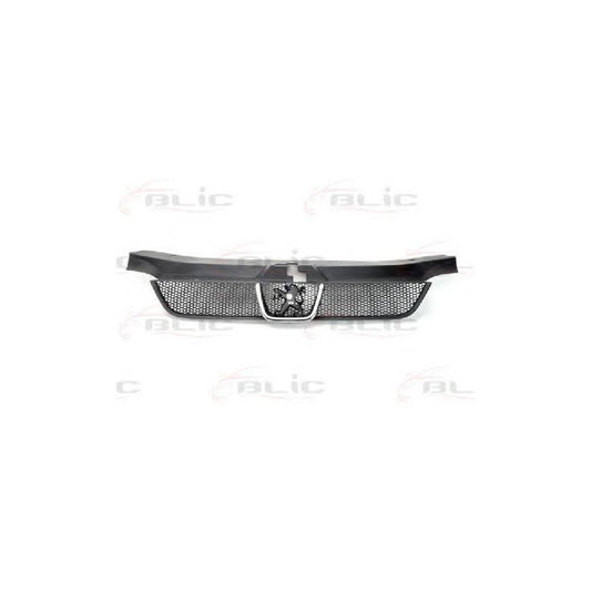 Blic 6502-07-5536992P Radiator Grille For Peugeot 406
