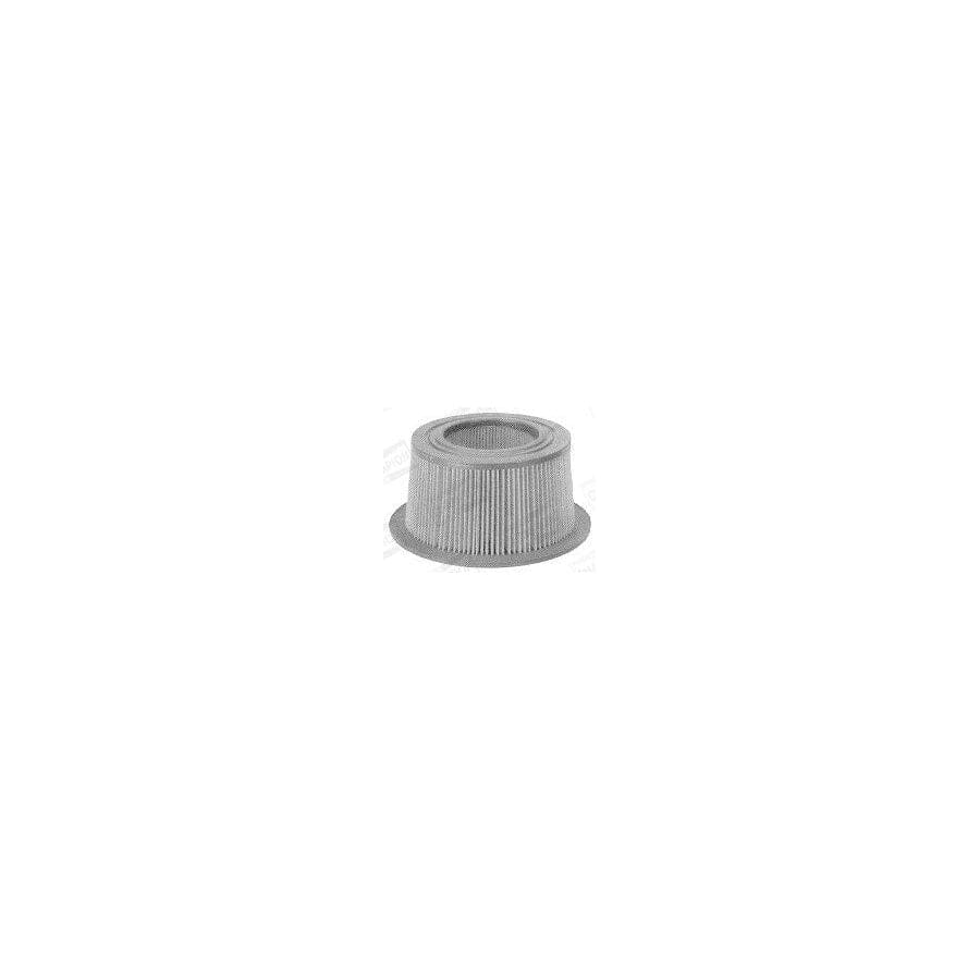 Champion Industrial Knurl V63Y/003 Spark Plug