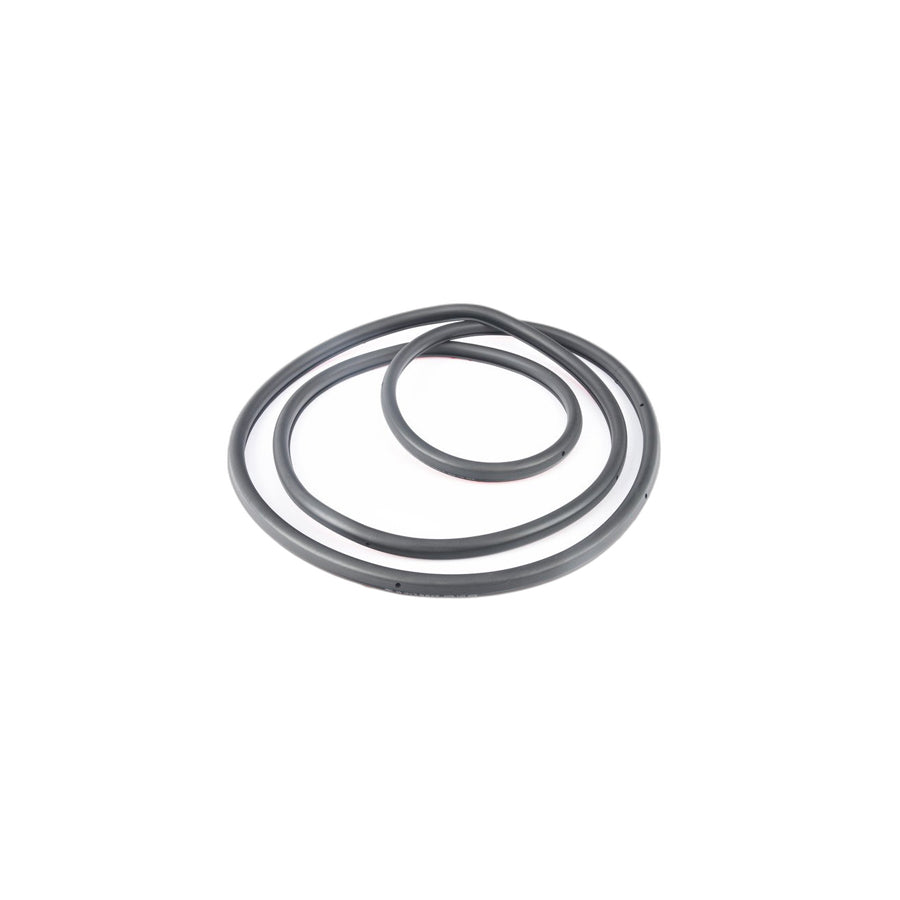Genuine BMW 51229070562 E39 Right Rear Door Seal (Inc. 540i, 530i & 528i) | ML Performance UK Car Parts