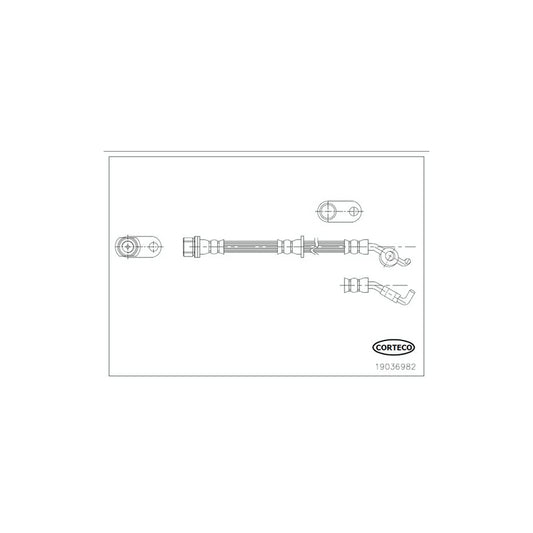 Corteco 19036982 Brake Hose | ML Performance UK