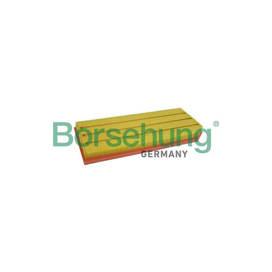Borsehung B10531 Air Filter