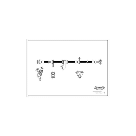 Corteco 19032273 Brake Hose | ML Performance UK