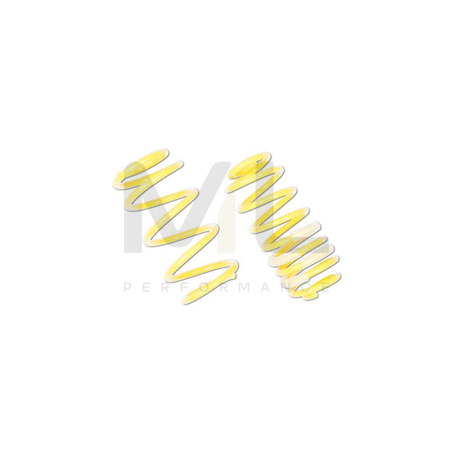 ST Suspensions 28230071 Ford Fiesta Mk7  SPORT SPRINGS 3 | ML Performance UK Car Parts