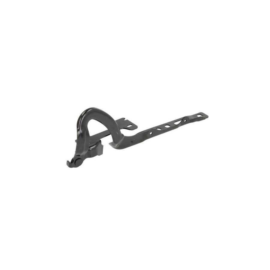 Blic 6802-00-5509451P Hinge, Bonnet For Peugeot 208
