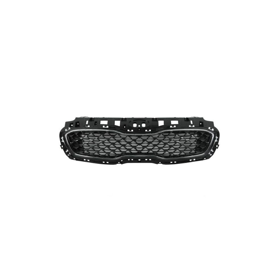 Blic 6502-07-3296993P Radiator Grille