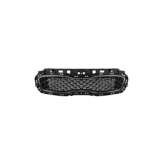 Blic 6502-07-3296993P Radiator Grille