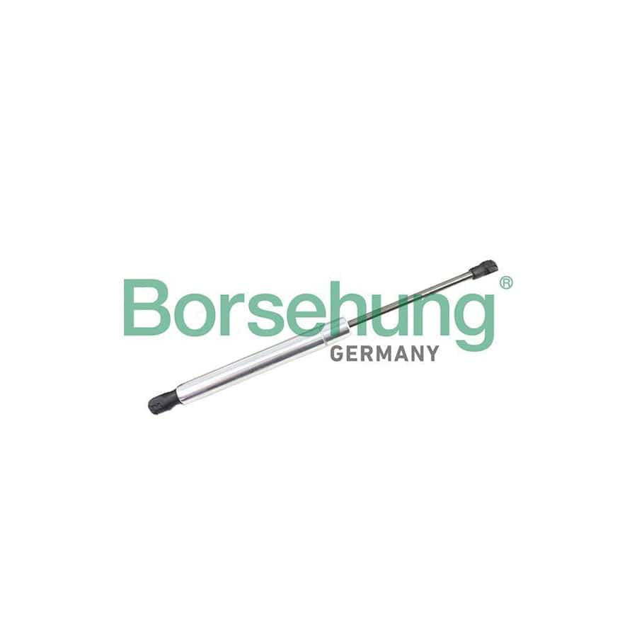 Borsehung B18460 Tailgate Strut For Vw Phaeton (3D1, 3D2, 3D3, 3D4, 3D6, 3D7, 3D8, 3D9)