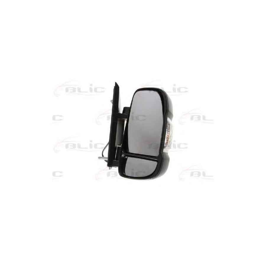 Blic 5402-04-9221920 Wing Mirror