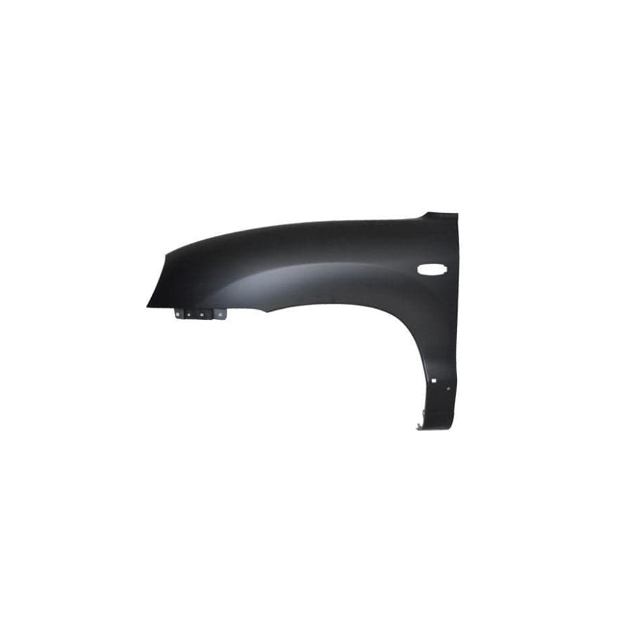 Abakus 01930212 Wing Fender For Hyundai Santa Fe I (Sm) | ML Performance UK