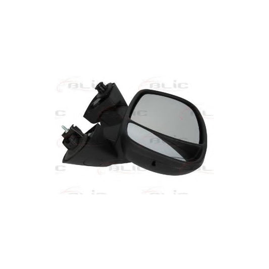 Blic 5402-04-9221759 Wing Mirror