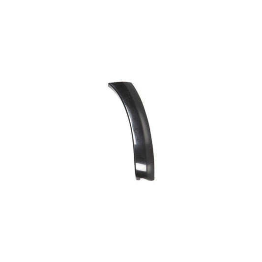 Blic 5703-08-8179380P Trim / Protective Strip, Mudguard For Toyota Rav4 III Off-Road (Xa30)