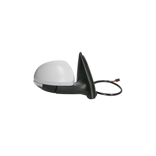 Blic 5402-01-2002724P Wing Mirror